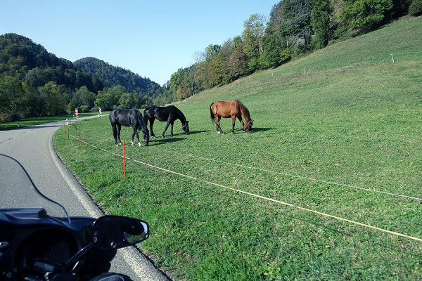 Jura zum Saisonschluss_8