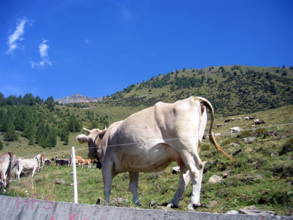 07.-11.09.2006 - Dolomitentour_57
