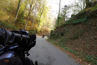 Kurvenswing im Herbst