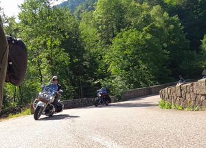 Immer schön der Nase nach