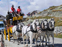 Fünfspännige Gotthardpost